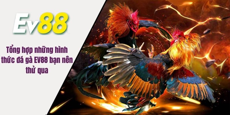Các sảnh chơi uy tín